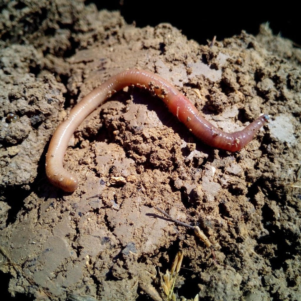 Návrh bez názvu (78)